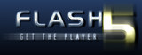 get the flash plugin in seconds and see a new world of internet